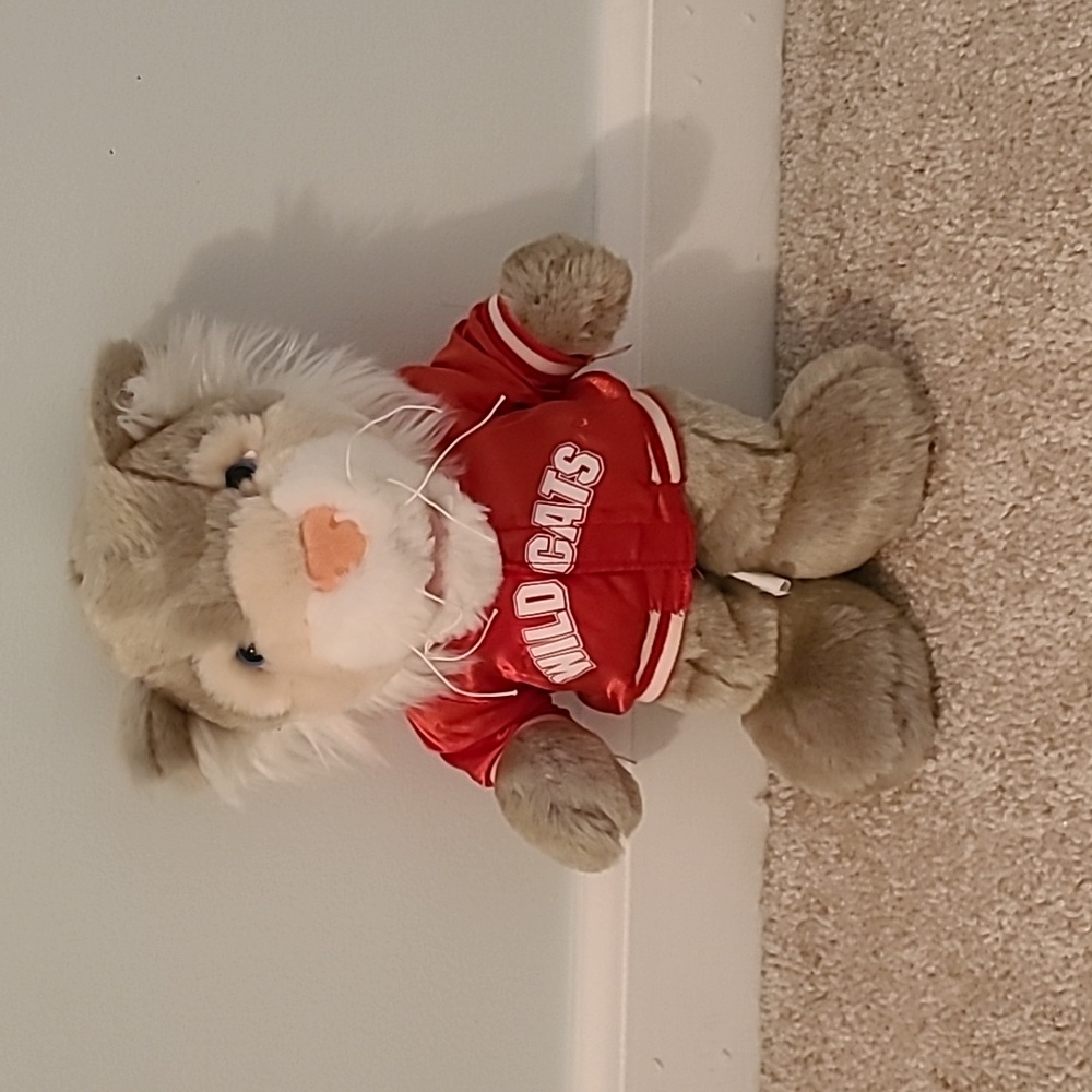 High School Musical Plush